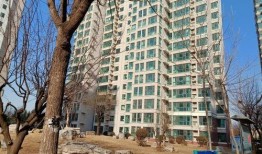 诸城半岛爆料最新消息今天,今日热点事件深度解析