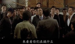夺帅在线观看,揭秘权谋巅峰对决