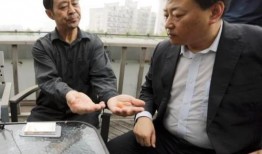 马保国最新爆料新闻,揭秘武术界惊人内幕！