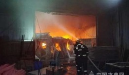 萍乡火灾新爆料视频回放,现场惨状与救援进展全记录