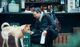 大狗影视在线观看,畅享海量影视资源，尽在大狗影视平台