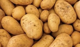 以藏在线观看土豆网,土豆网带你在线畅游