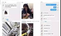 营销号爆料教程视频在线,轻松掌握营销号爆款内容制作技巧