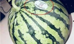 网红最火吃瓜,揭秘娱乐圈最新热点事件