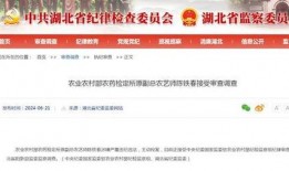 竹山农香最新爆料新闻,最新爆料新闻背后的真相