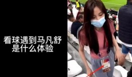 爆料发怒的视频,一场网络风波的发酵与反思